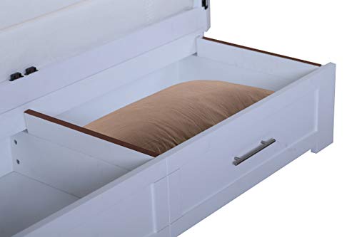Emurphybed Daily Delight Murphy Cabinet Chest Bed with Charging Station, Queen 8 inch (White)